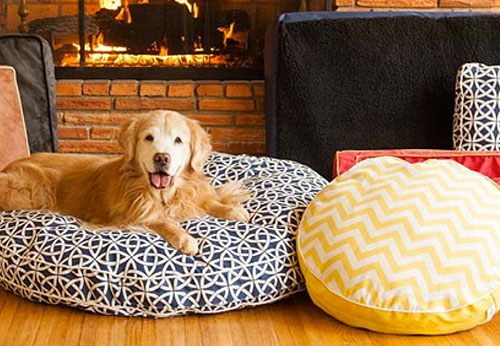 Microsoft Word - Snoozer Pet Products.docx